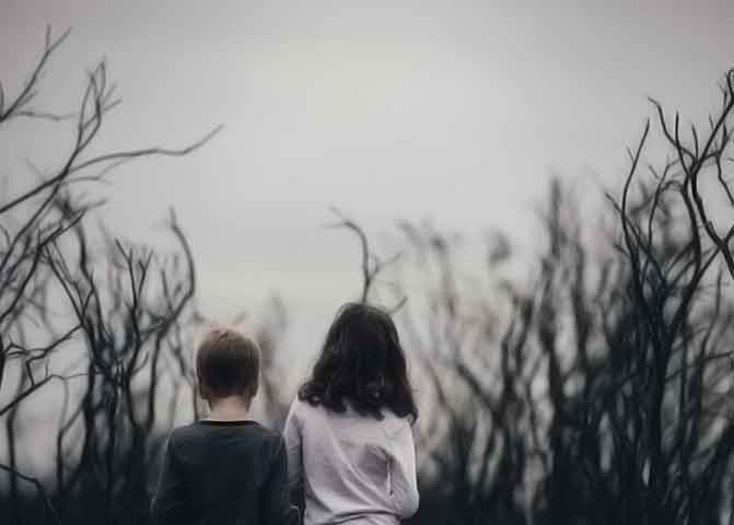 便宜的自助平台推荐的器测压文章